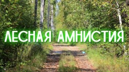 &laquo;Лесная амнистия&raquo; поможет исправить неверные сведения о земельных участках