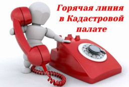 Внимание в Кадастровой палате &laquo;Горячая линия&raquo;