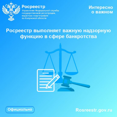 Росреестр выполняет важную надзорную функцию в сфере банкротства