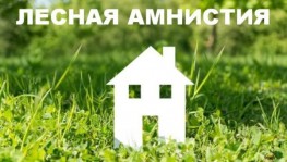 С начала 2018 года закон &laquo;о лесной амнистии&raquo; в Псковской области применялся 166 раз