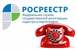 В Кадастровой палате по Псковской области прошла &laquo;горячая линия&raquo;.